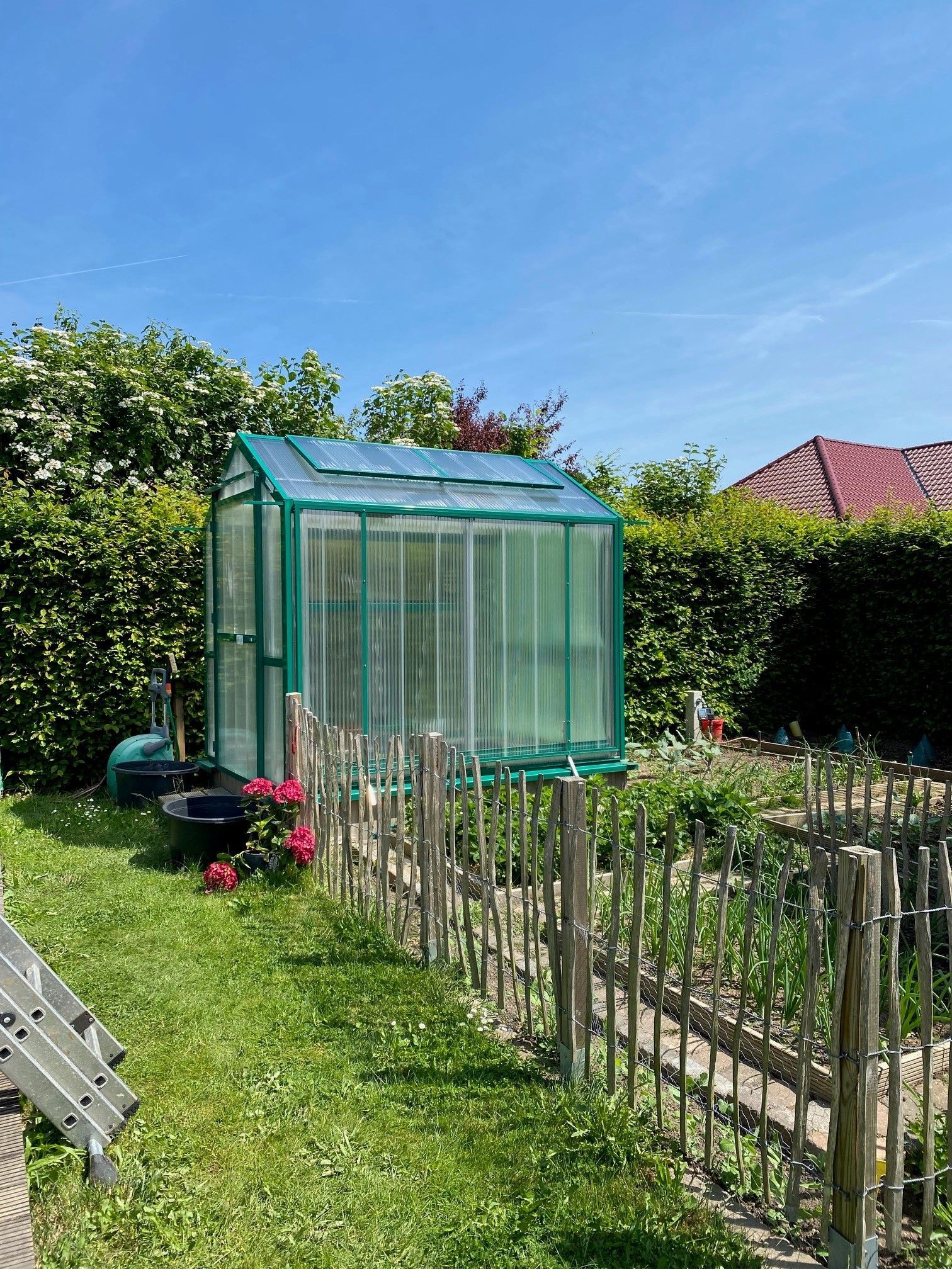 Mini Gewächshaus freistehend grün 1,9x2,5m