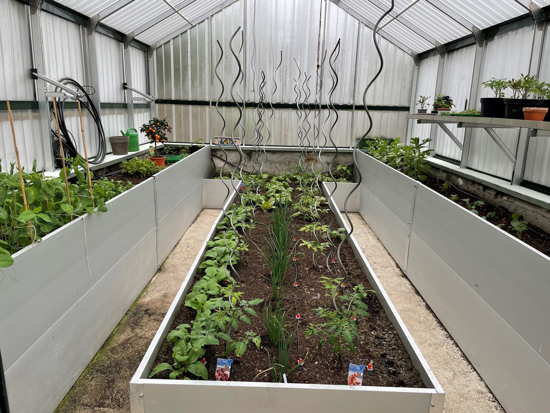Freistehendes Gewächshaus mit Hochbeete. 4x6m groß
