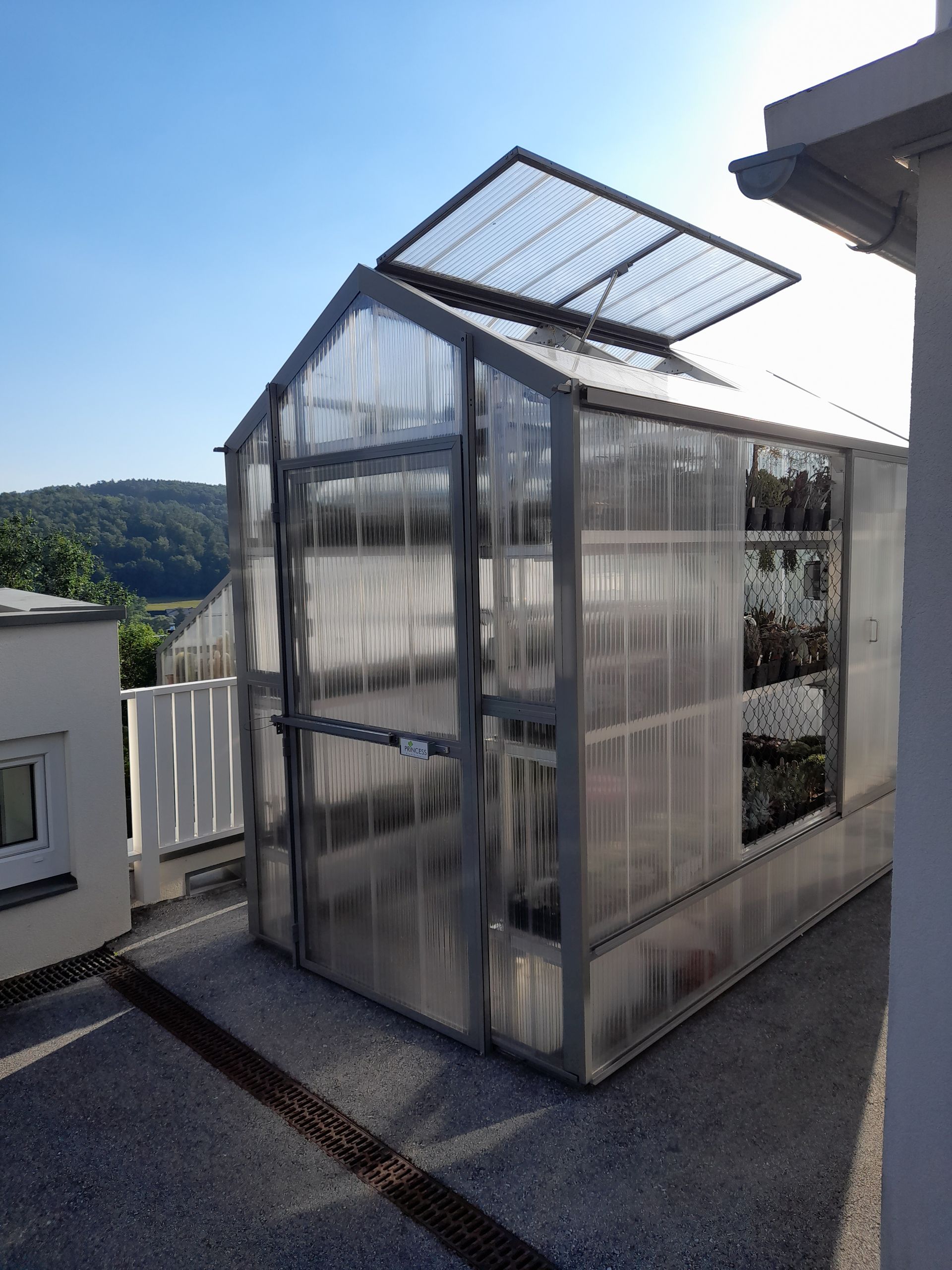 Gewächshaus auf einer Terasse