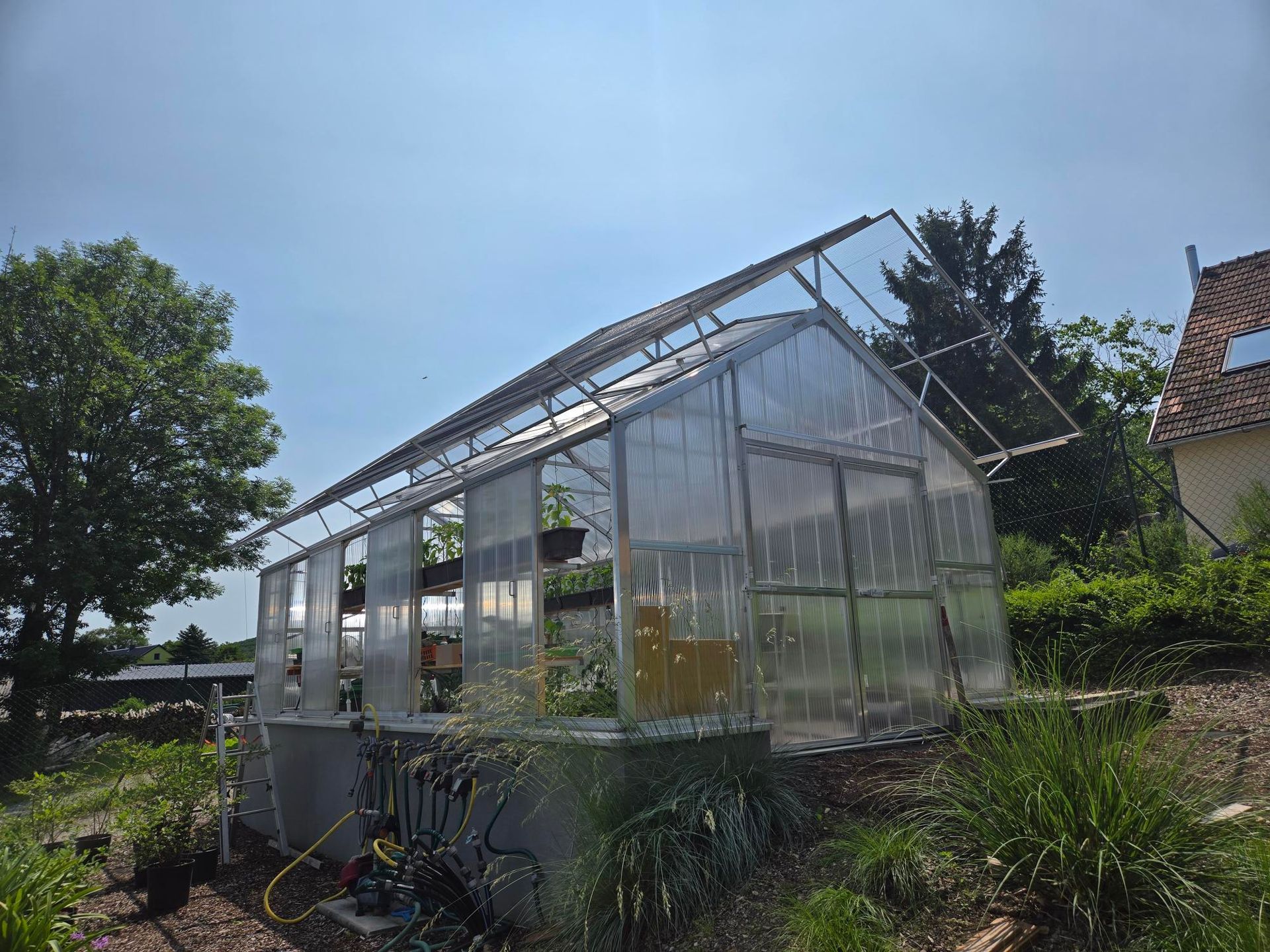 Freistehendes Gewächshaus 4x8m mit Hagelschutz