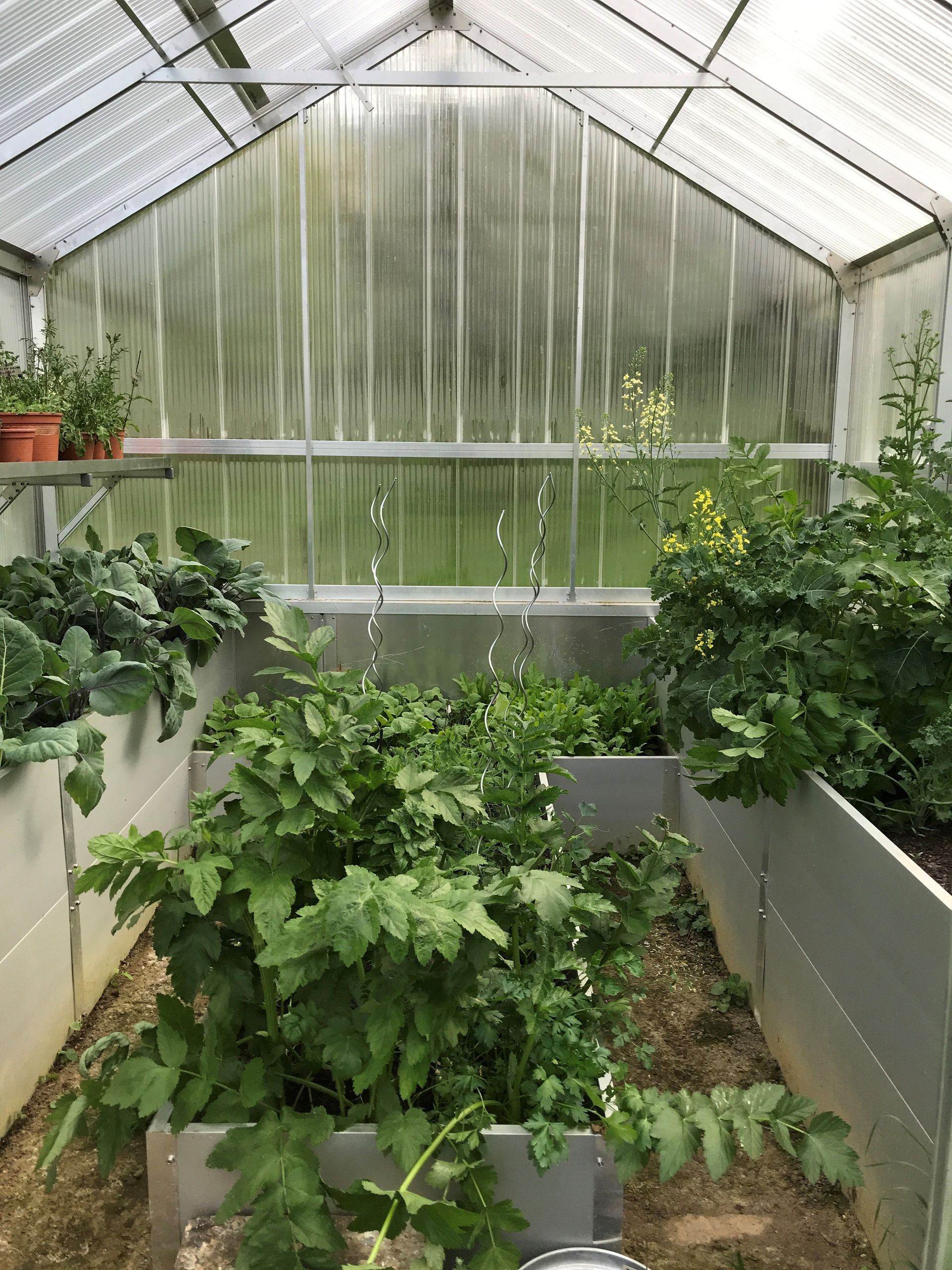 Freistehendes Hochbeet Gewächshaus, 3,5x4m groß