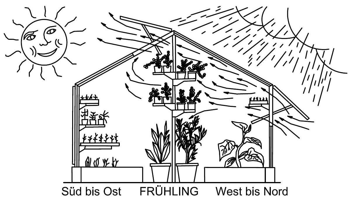 Gewächshaus mit transparenten Wänden und gewölbtem Dach, in dem Pflanzen wachsen.