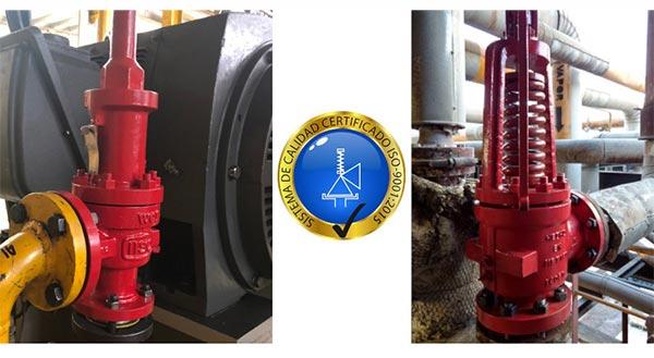 VÁLVULAS E INSTRUMENTOS ICOSO SA DE CV - ASESORÍA