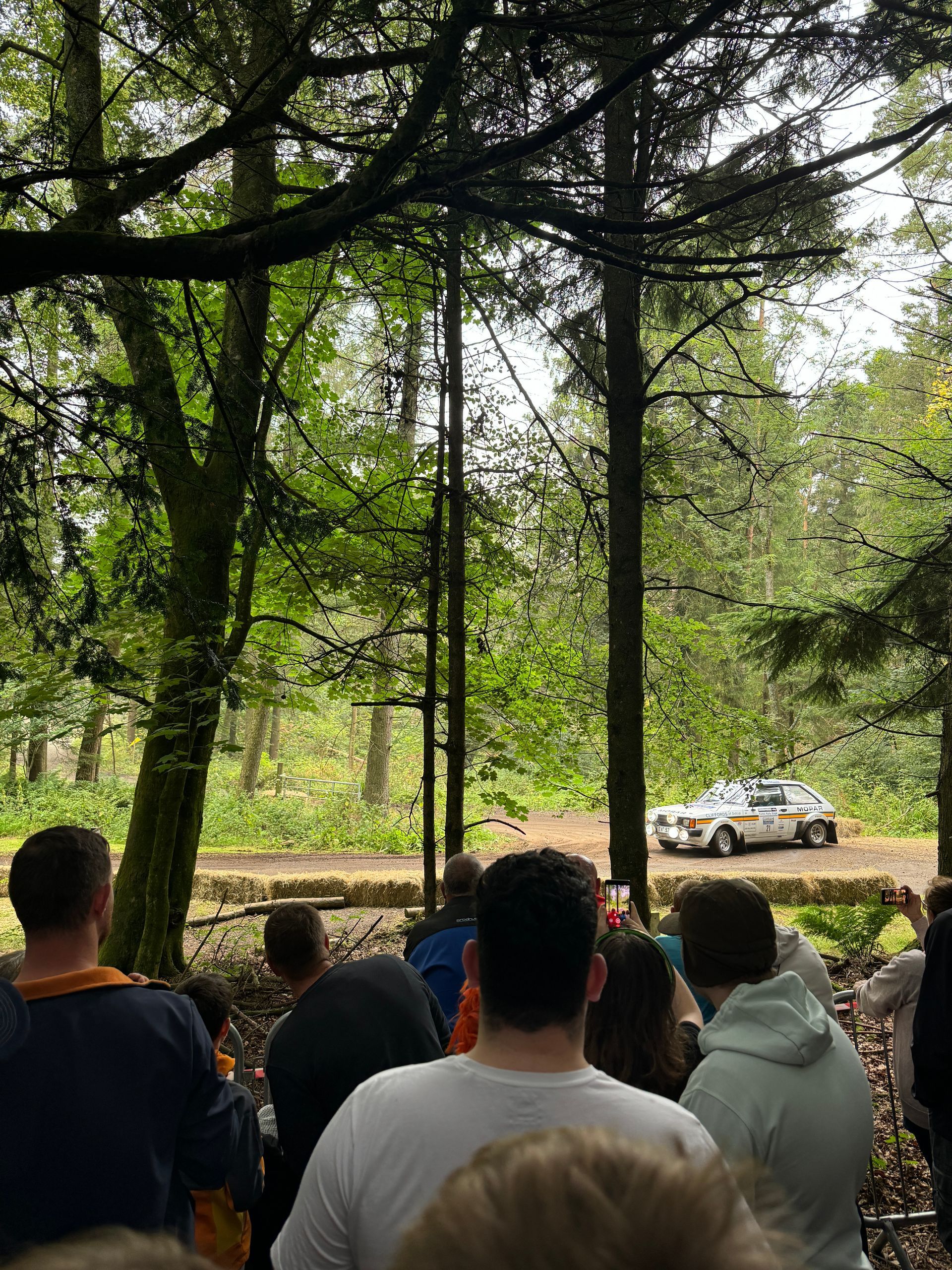 Fans watching the rally festival, cars coming round the track, through the trees at Craufurdland