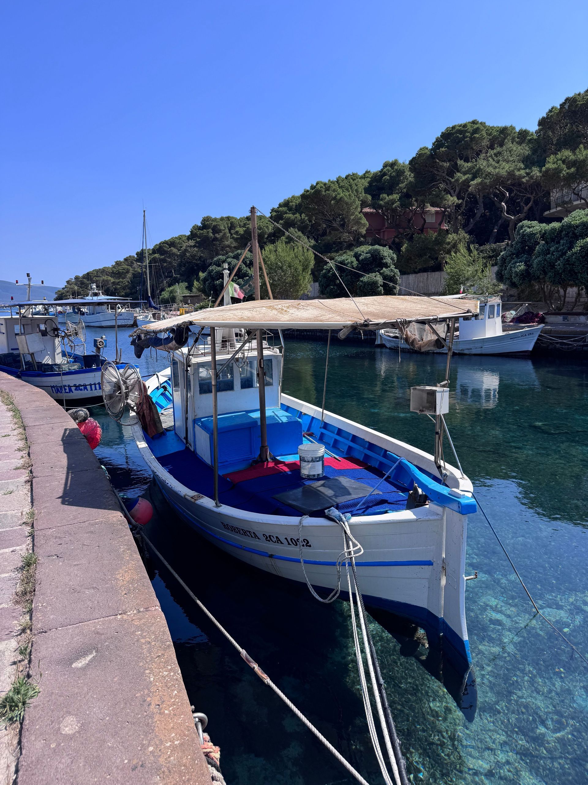 Small boat on rocky shore with fishing nets, overlooking a harbor filled with boats.