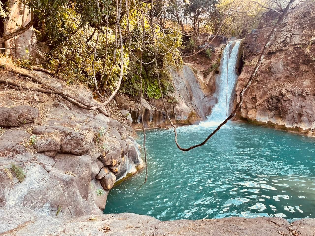 Estanque de color turquesa bajo una pequeña cascada en un desfiladero rocoso del bosque.