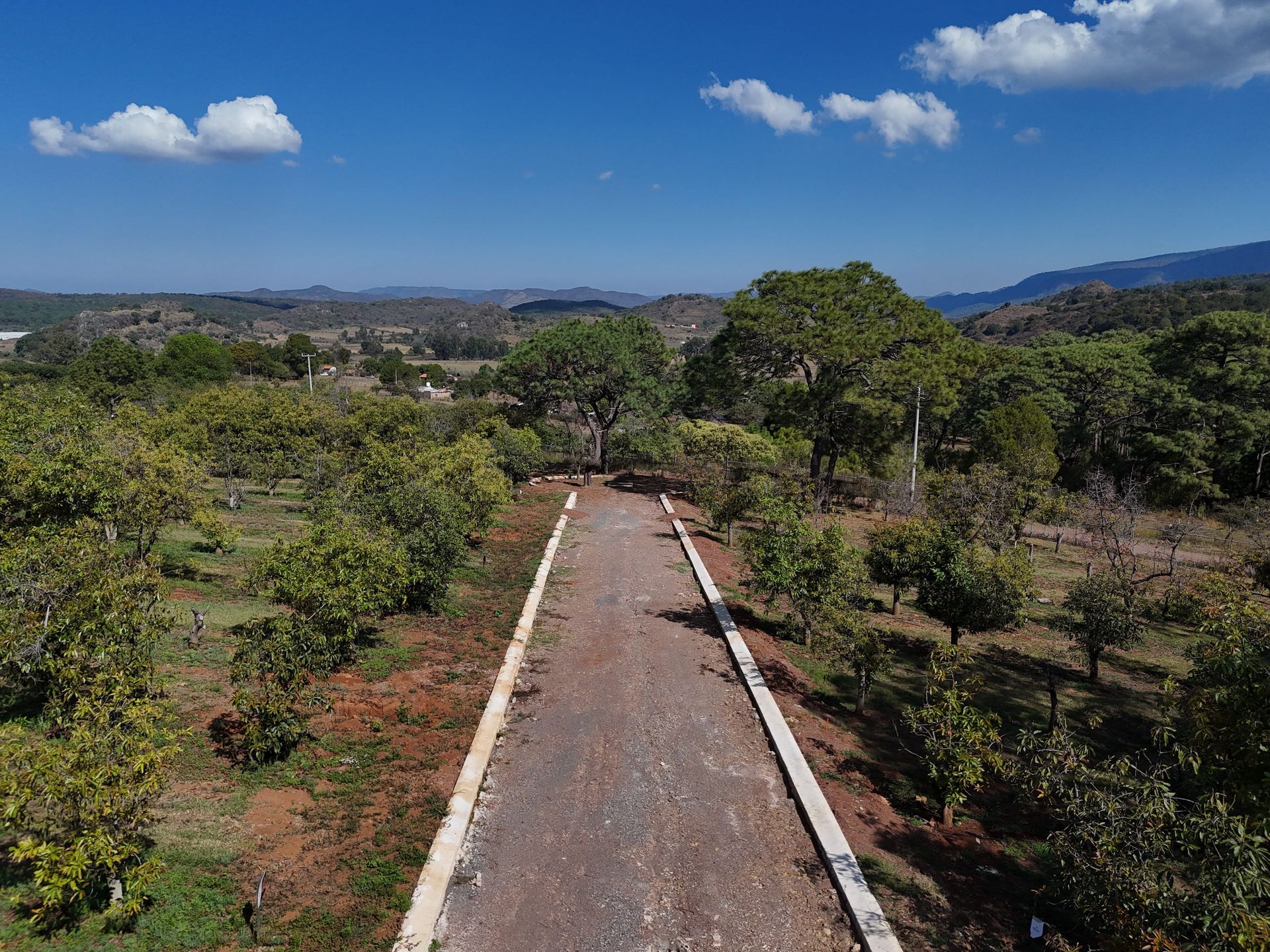 Camino rural de tierra que atraviesa árboles verdes bajo un cielo azul con nubes en Yéucate®