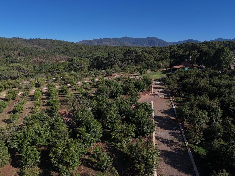 Vista aérea de terrenos agroresidenciales en Yéucate®, en Chiquilistlán, Jalisco