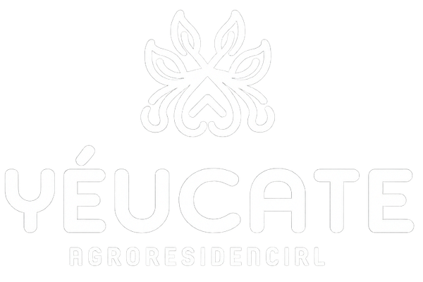 Logotipo blanco de YÉUCATE con un emblema de mariposa y el lema “Tejidos Textiles” debajo.
