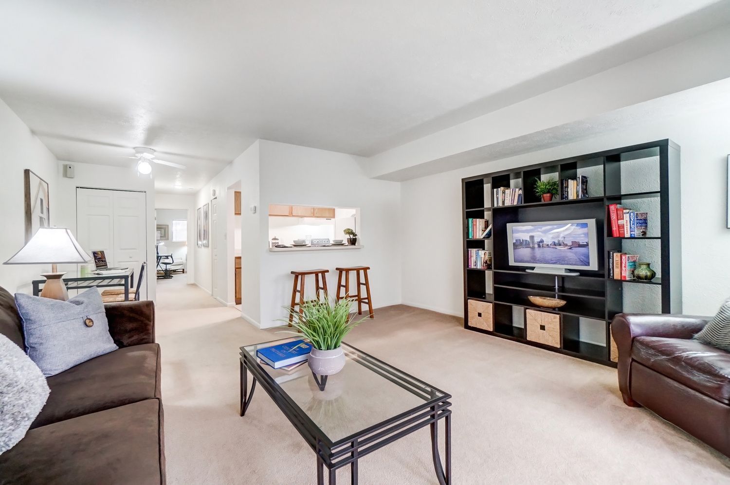 Living Room and Kitchen in a Campus View Apartment