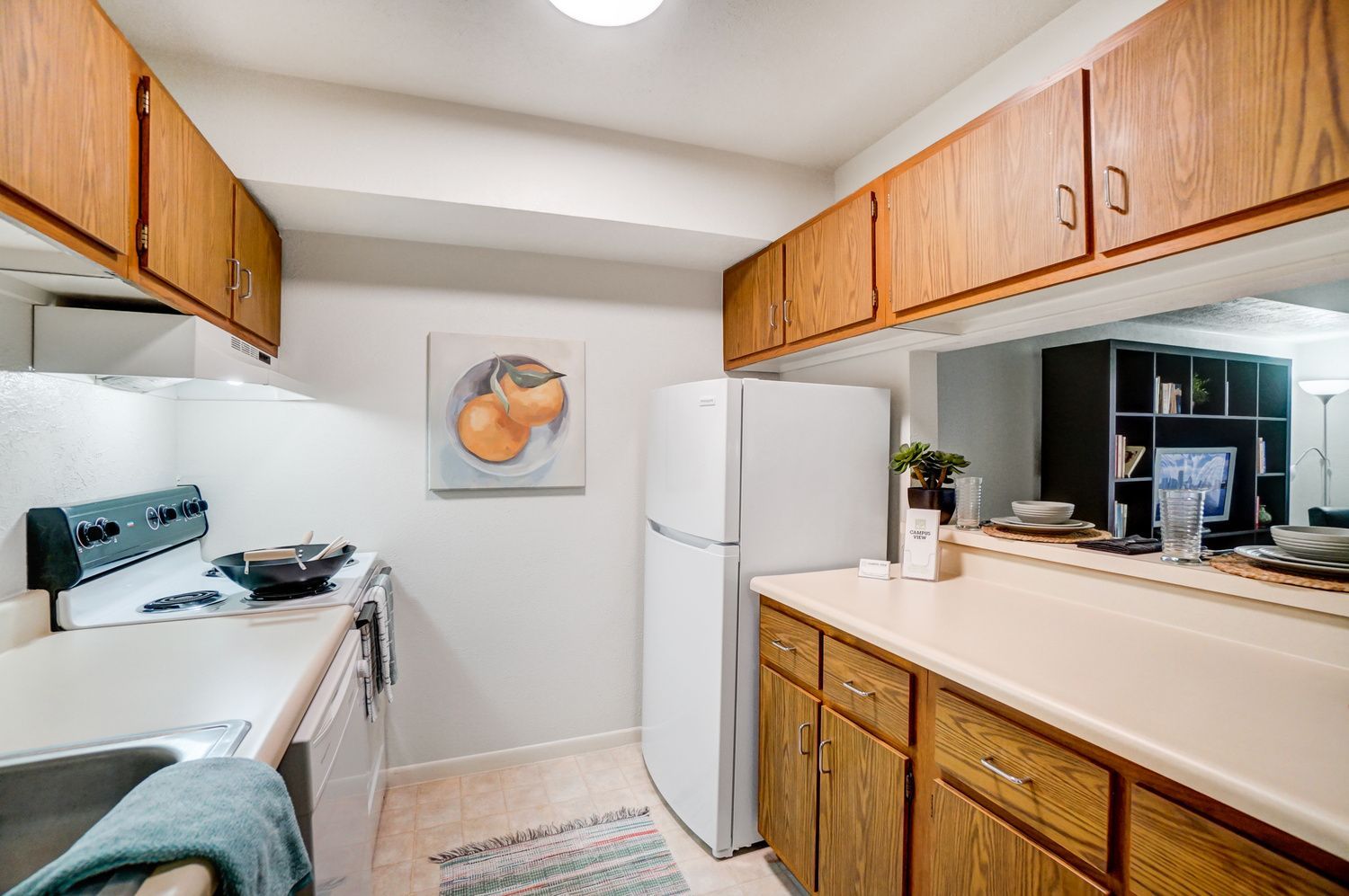 Kitchen in a Campus View Apartment