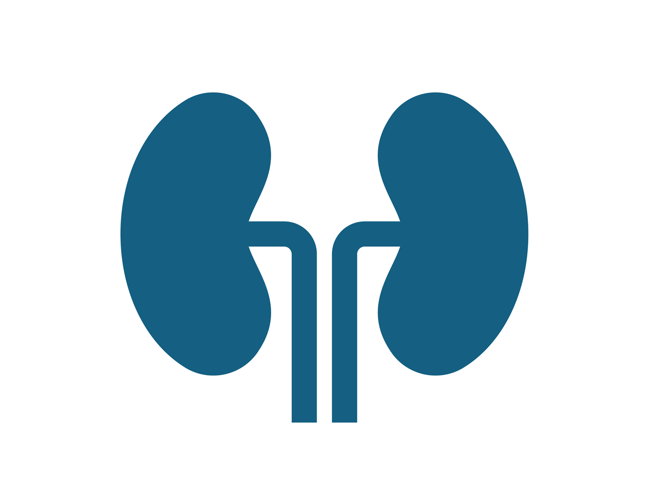 Diabetes, chronic kidney disease, and British food culture