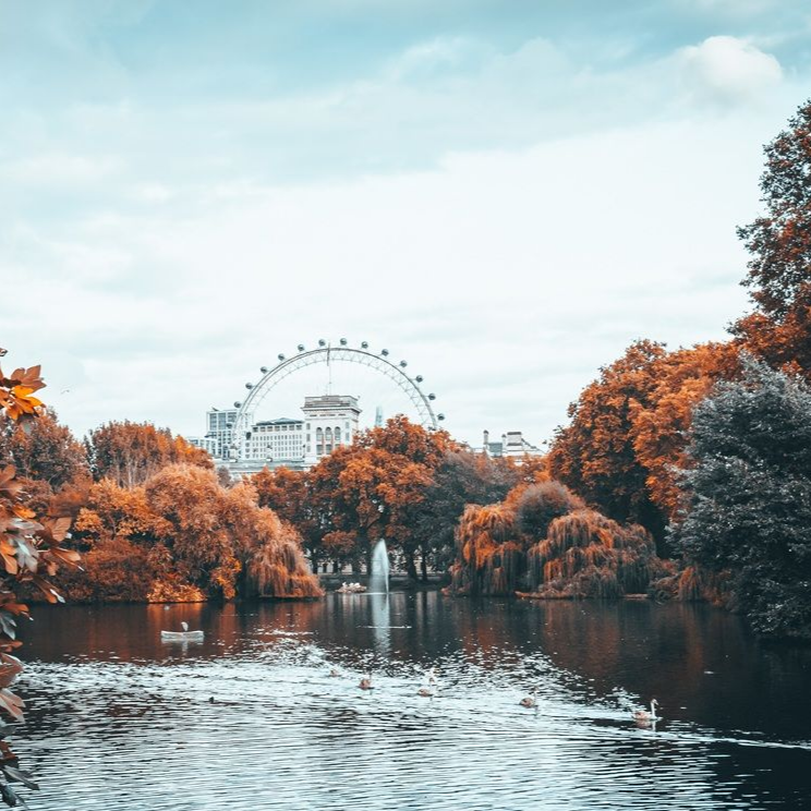London Diabetes Dietitian