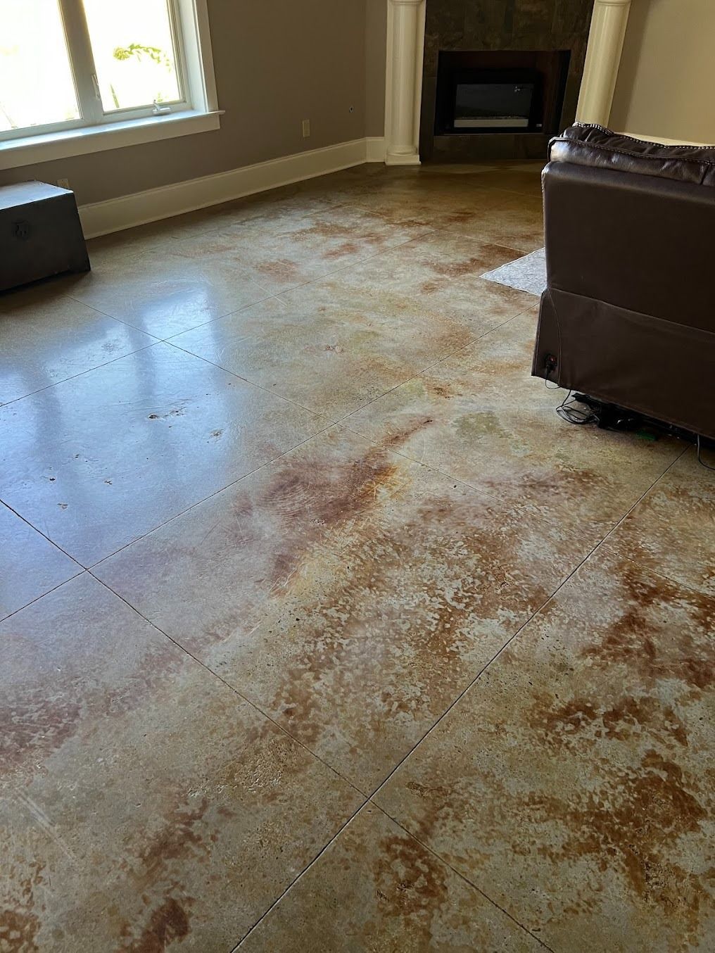 Carpeted living room with heavy white and brown staining near a sofa and fireplace.
