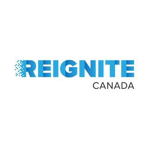 Elite Marketing Projects (EMP) digital marketing agency offering logo design and modern brand identity for Reignite Canada