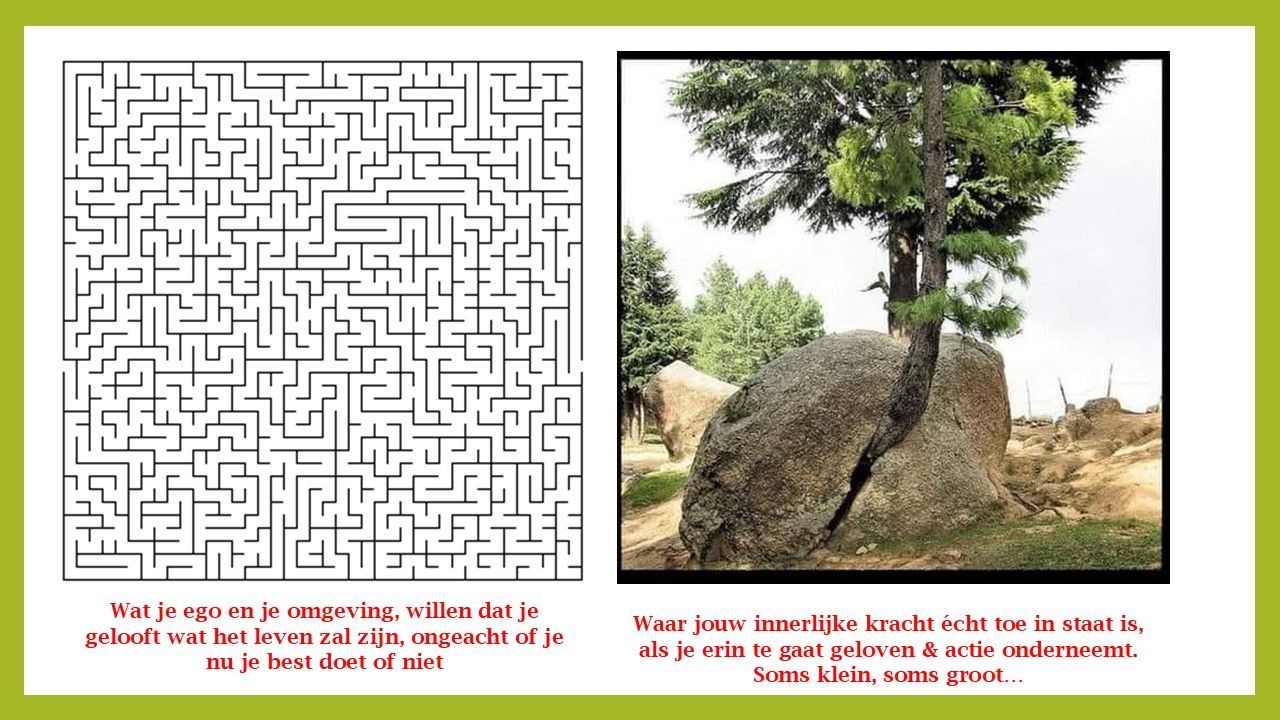 obstakels, doolhoven en doorzettingsvermogen
