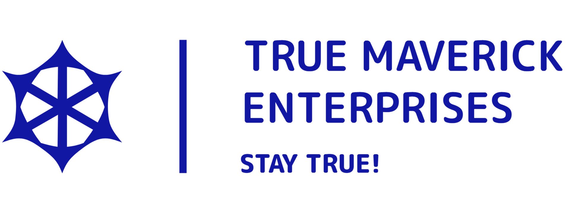 True Maverick Enterprises LLC