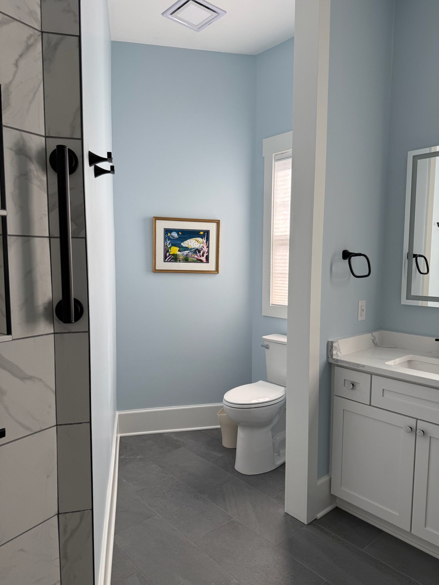 A bathroom with light blue walls, a white toilet, vanity, and a framed colorful print hanging on the wall.