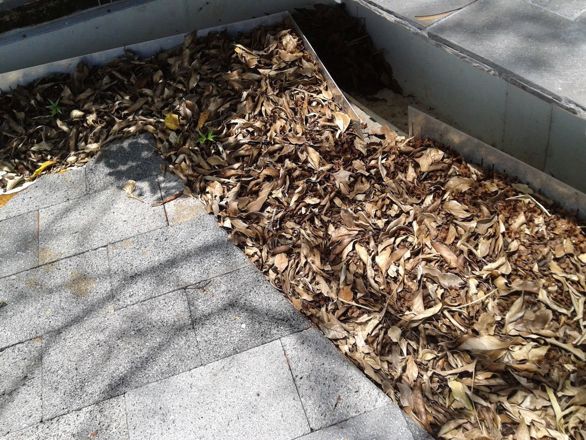 good practices for rainwater