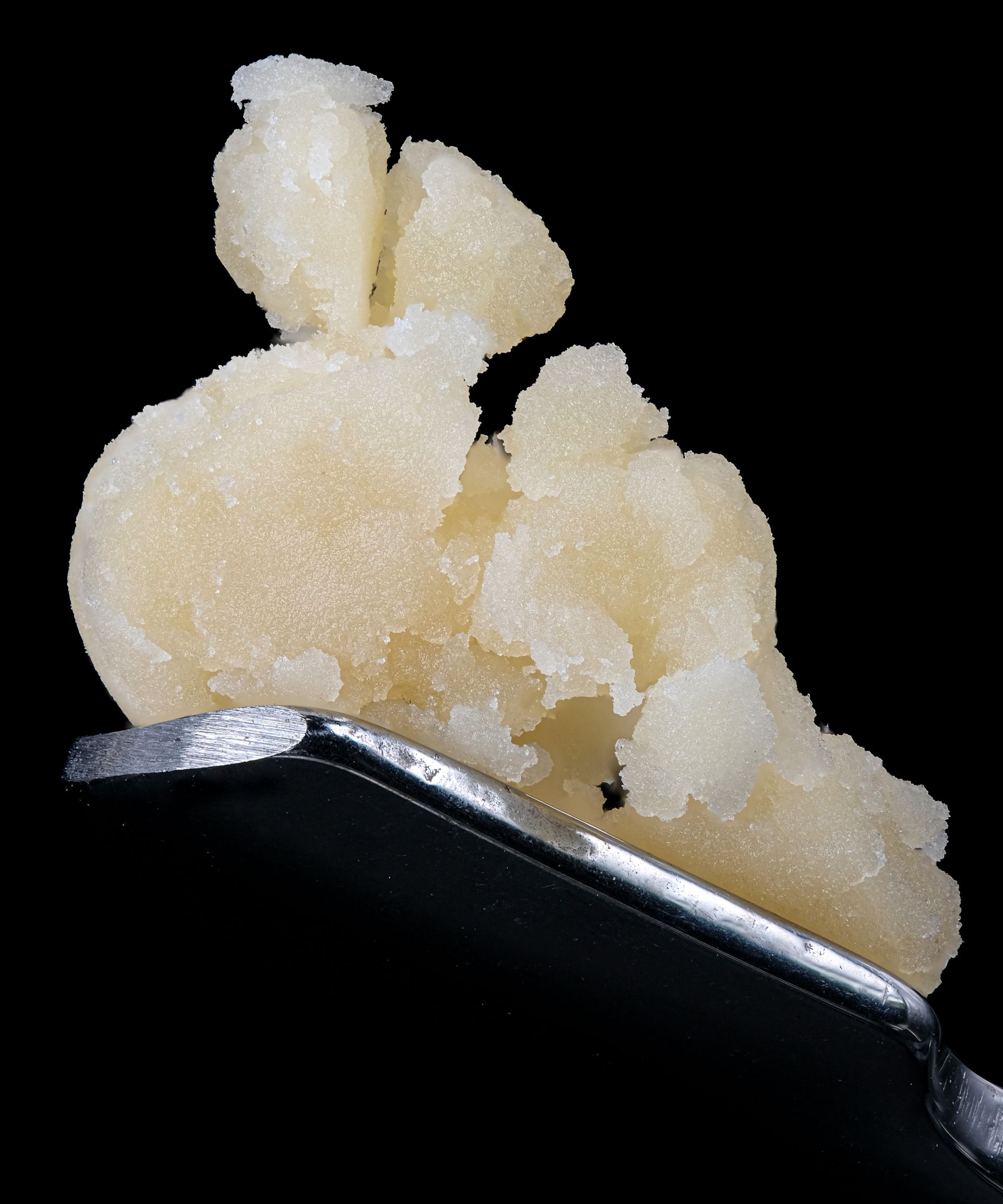 A close-up of light-colored cannabis concentrate, held by a metal dab tool, against a black background.