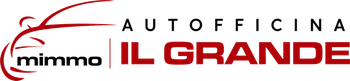 AUTOFFICINA DI DOMENICO IL GRANDE logo