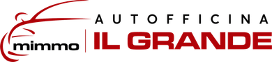 AUTOFFICINA DI DOMENICO IL GRANDE logo