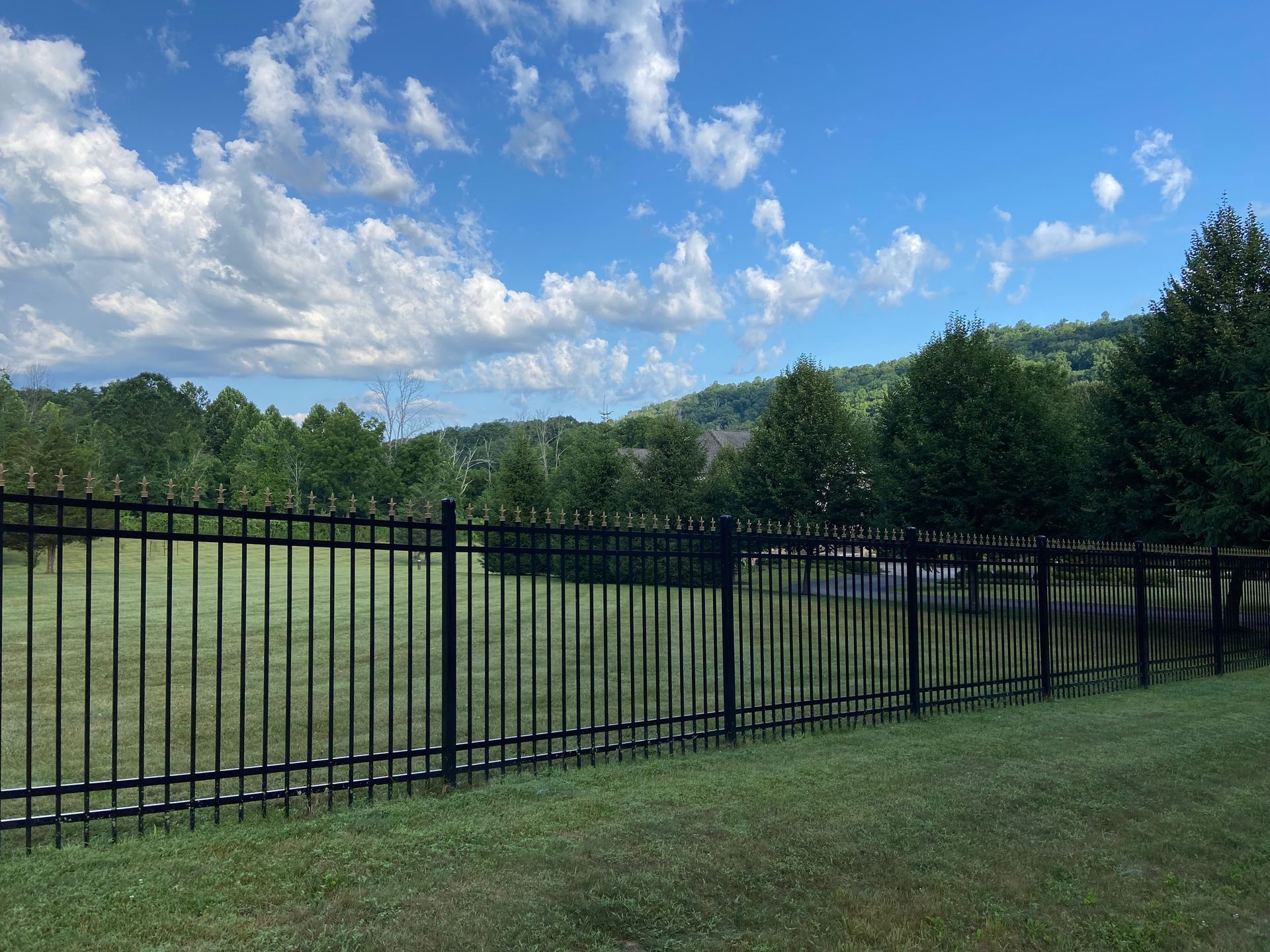 A black fence surrounds a grassy field with trees in the background.