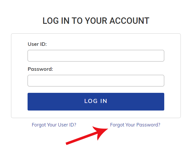Forgot Password