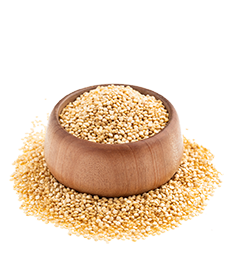 ALIMENTOS Y SEMILLAS LA BODEGA