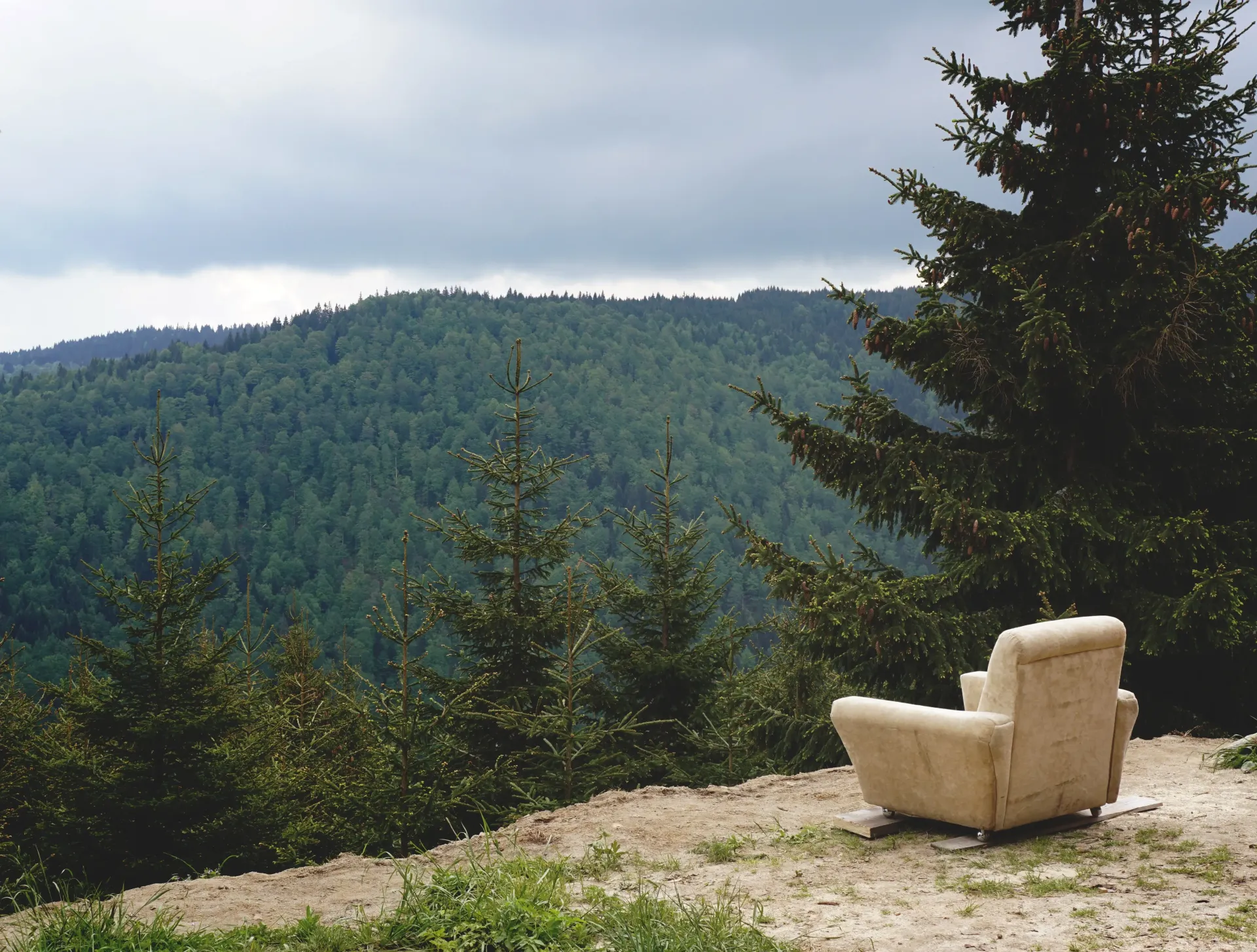 A chair sits on a hill overlooking a forest