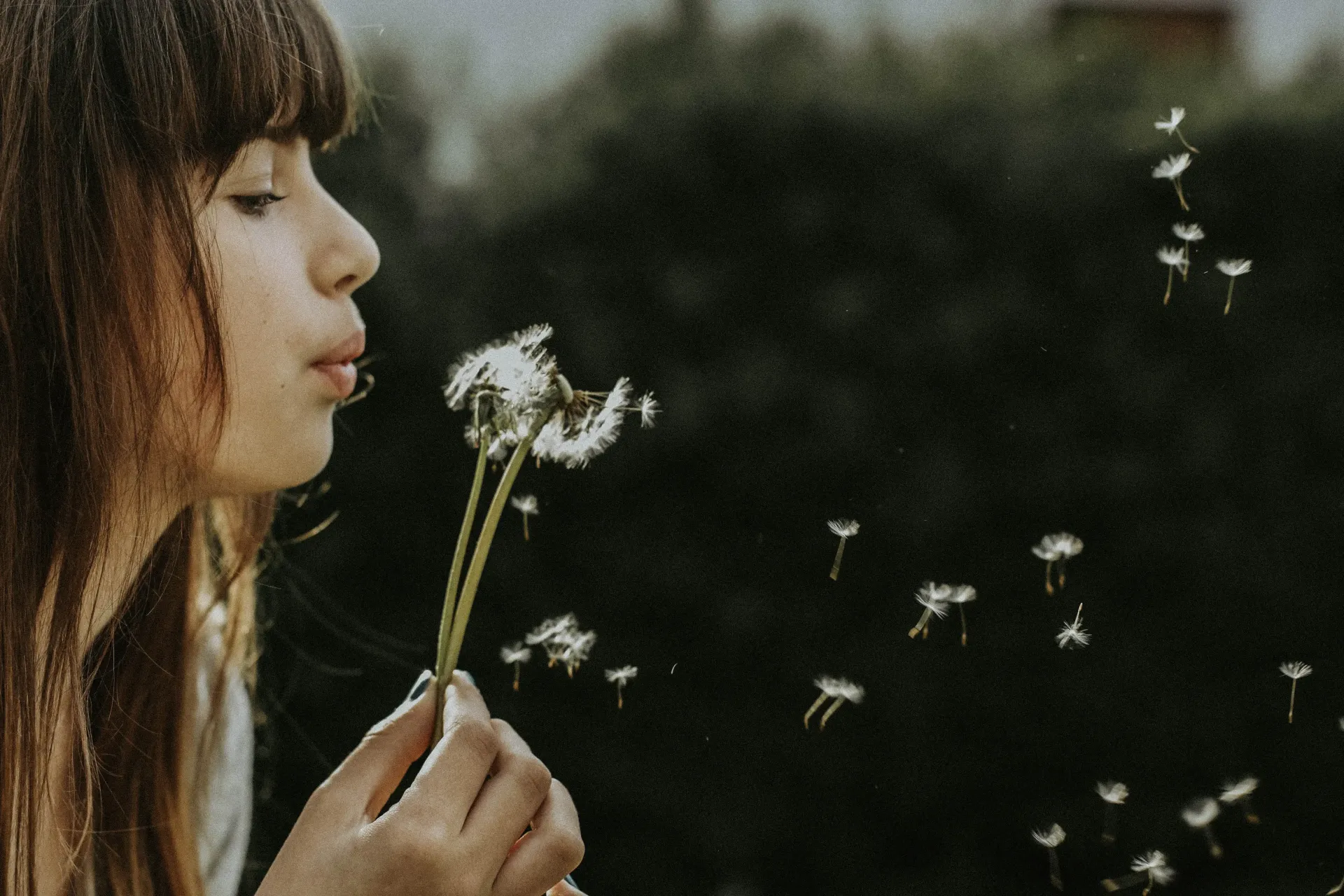 A young girl is blowing dandelions in the wind.