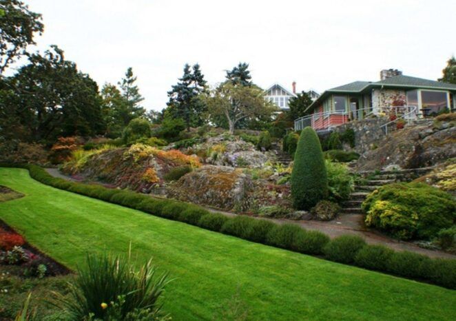 A lush green lawn with a house in the background