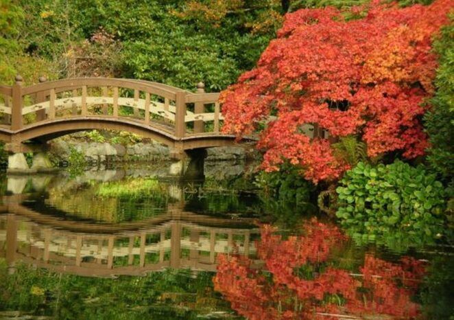 There is a bridge over a pond with trees in the background.