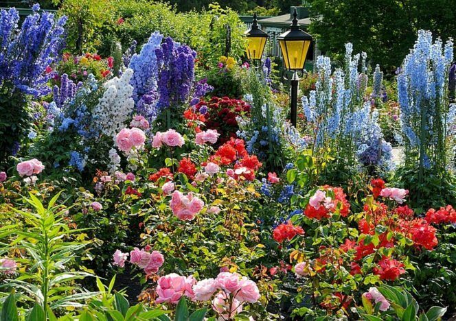 There are many different types of flowers in the garden.