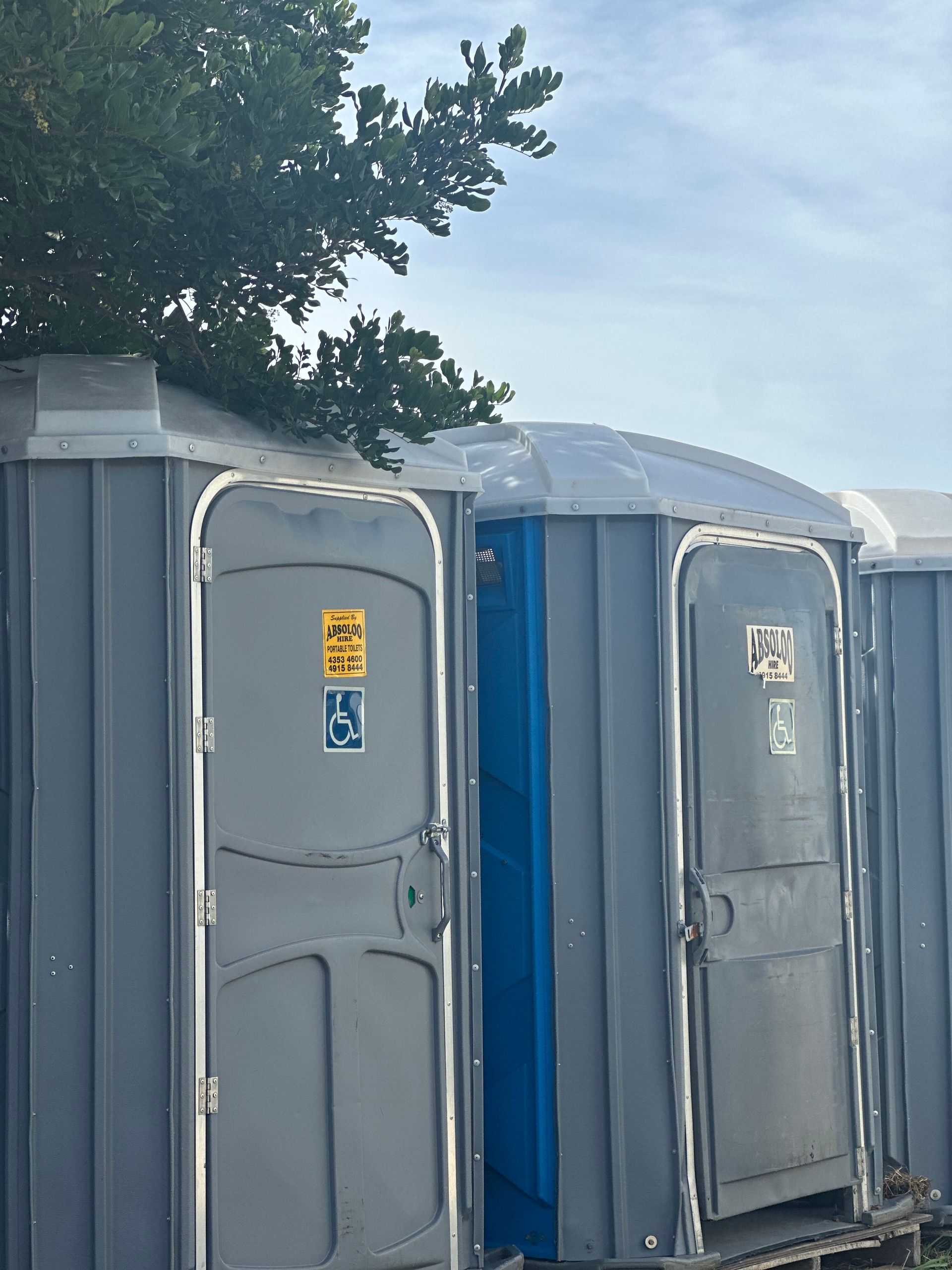 Gray portable toilets, one marked for accessibility, are lined up outdoors beneath a tree — Absoloo Hire Pty Ltd In Morisset, NSW