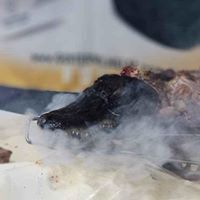 closeup of a smoked whole alligator with smoke clouds leaving its mouth