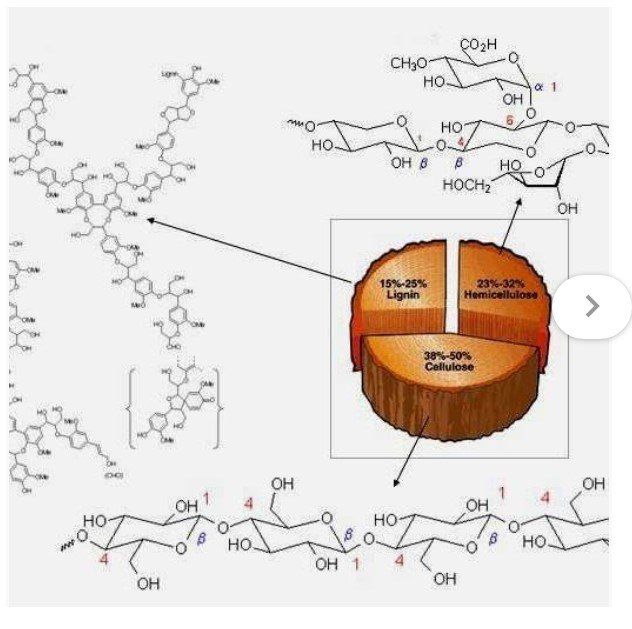 Chemical chart of post oak wood