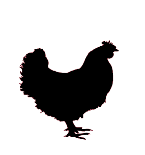 Chicken (poultry) image for B&B Texas Chicken seasoning