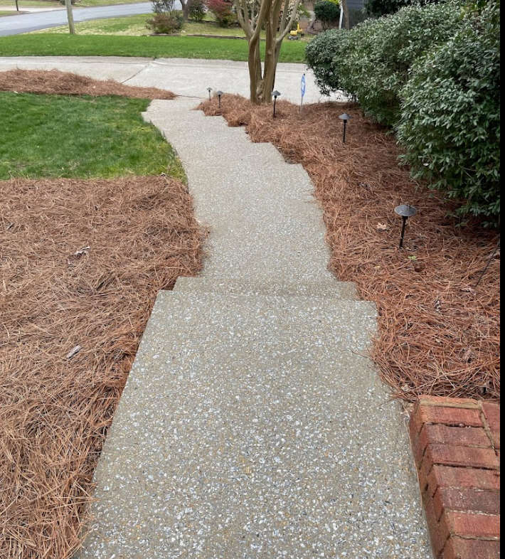 Curving concrete walkway through a landscaped yard with pine straw, shrubs, and a brick border