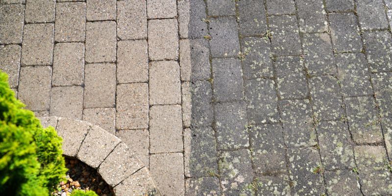 Paved brick walkway beside a gray stone path with a curved border and green shrubs