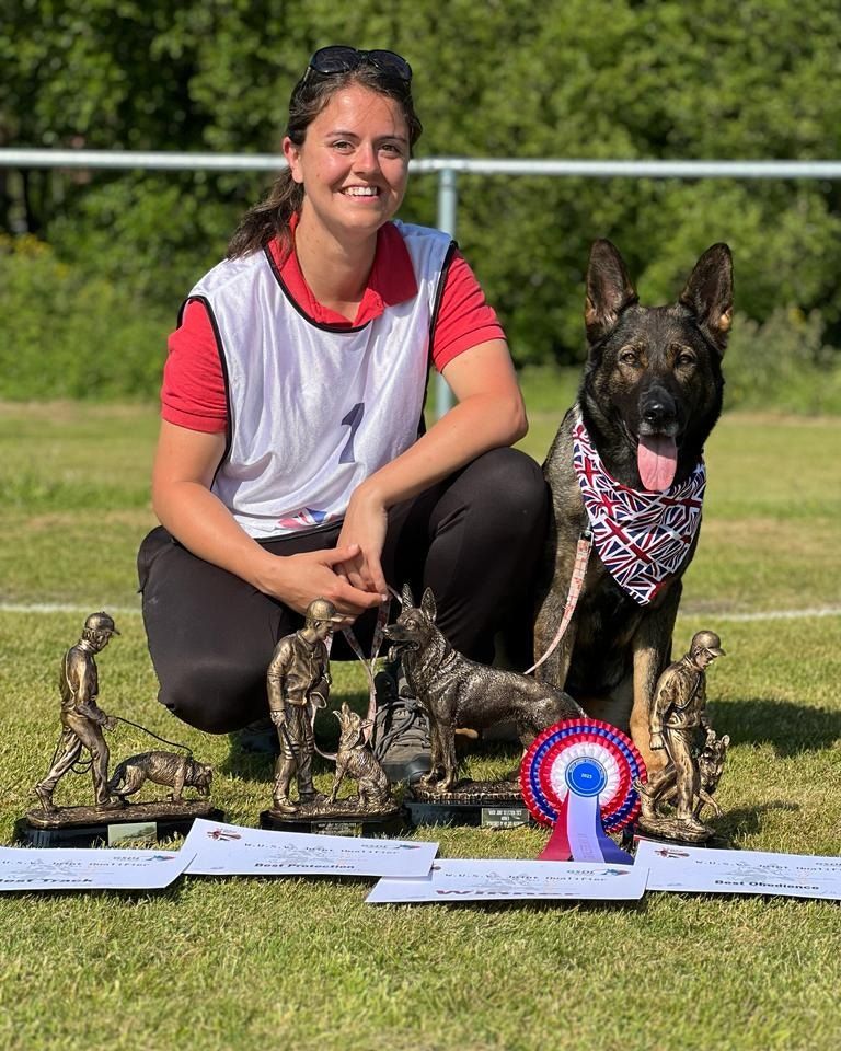 A woman kneeling on a grassy field with a German Shepherd wearing a patterned bandana, surrounded by trophies and ribbons.