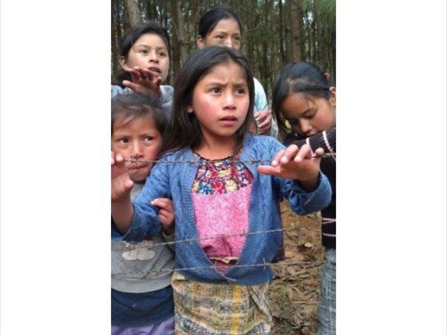 Five children stand behind a net, with a girl in a blue sweater reaching forward in front.