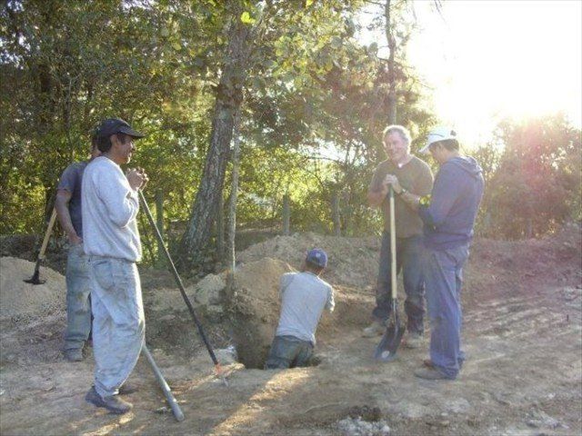 Four people dig a hole outdoors with shovels in a wooded area, with sunlight filtering through trees.