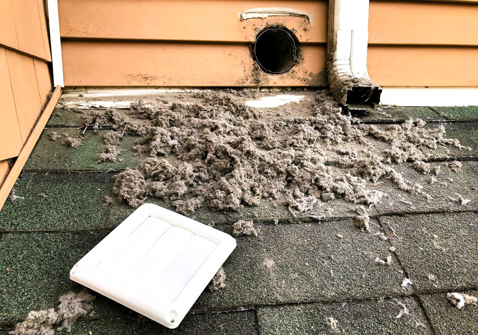 lint and debris around a dryer vent exit on a roof with a detached cover