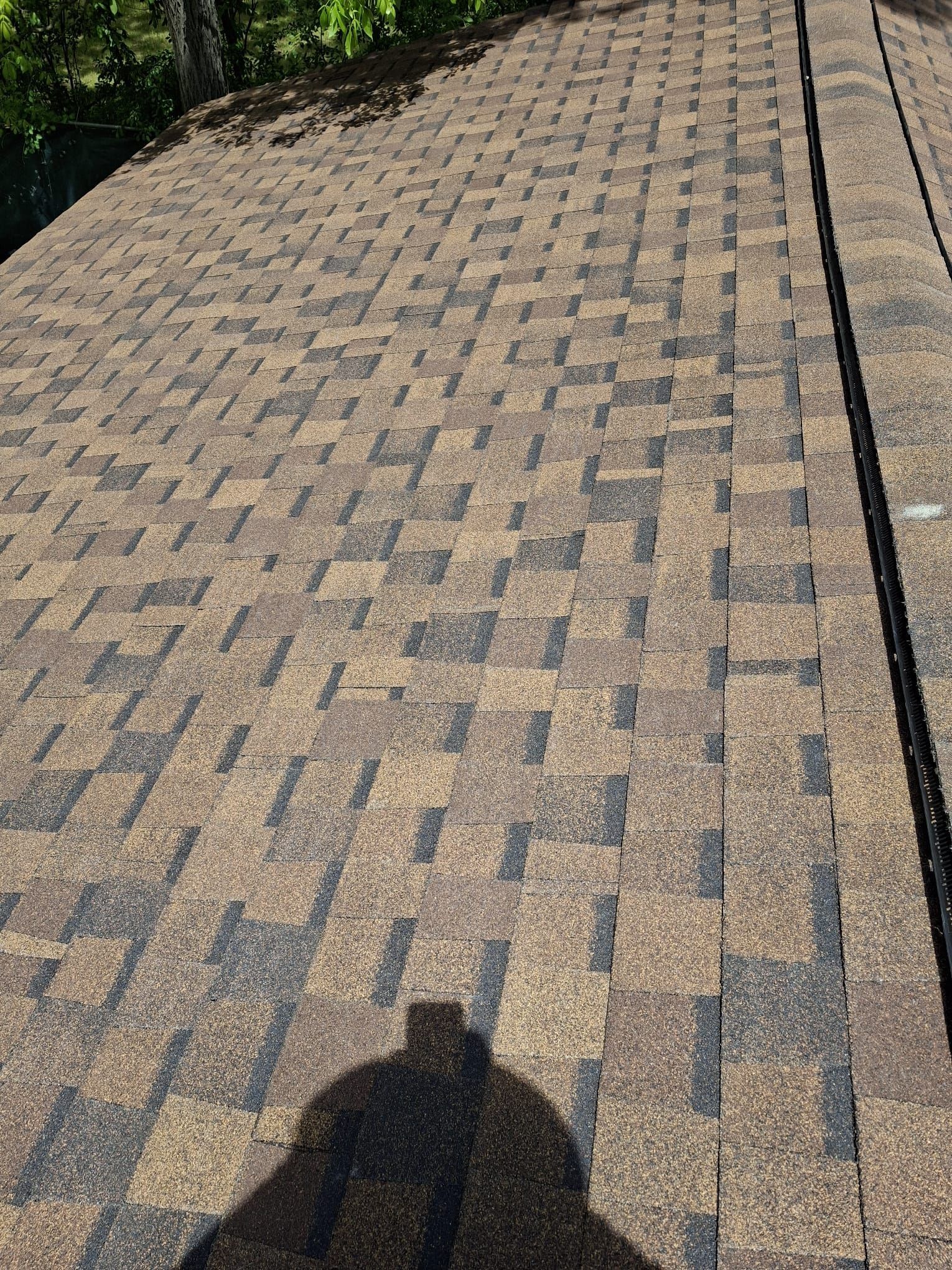 Sunlit paved walkway with patterned bricks and a shadow in the foreground
