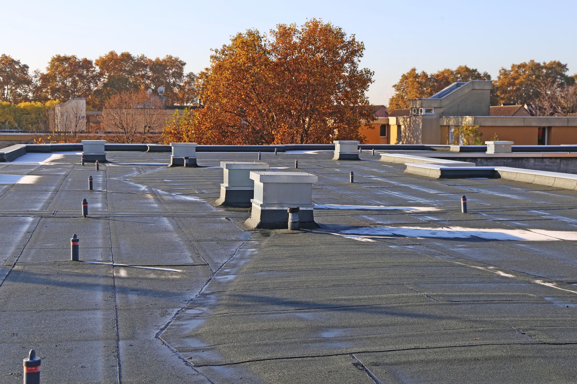 Flat rooftop with vents and puddles, against autumn trees and buildings in the background.