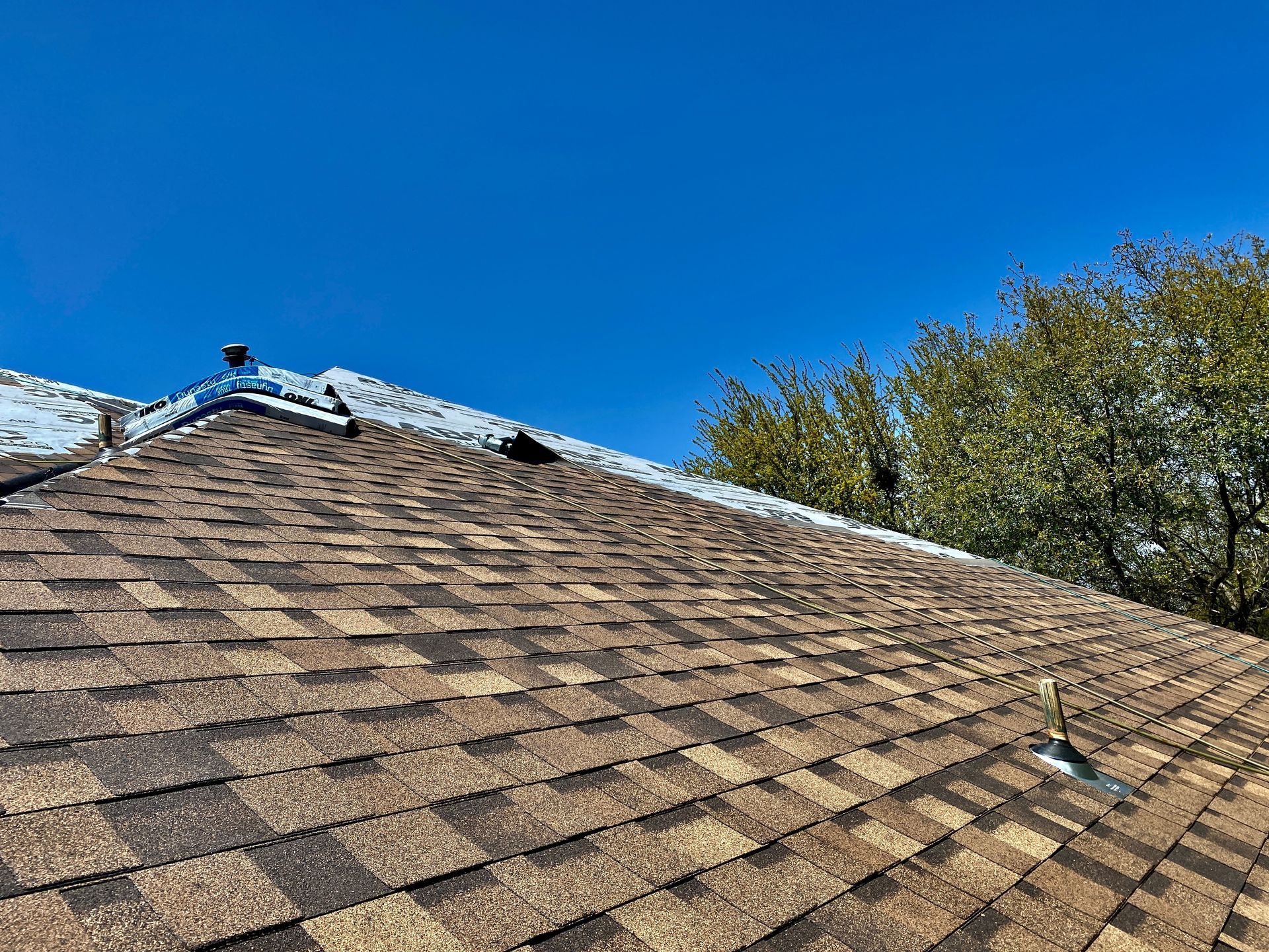 Roof with brown shingles under a clear blue sky, with tree branches visible at the edge