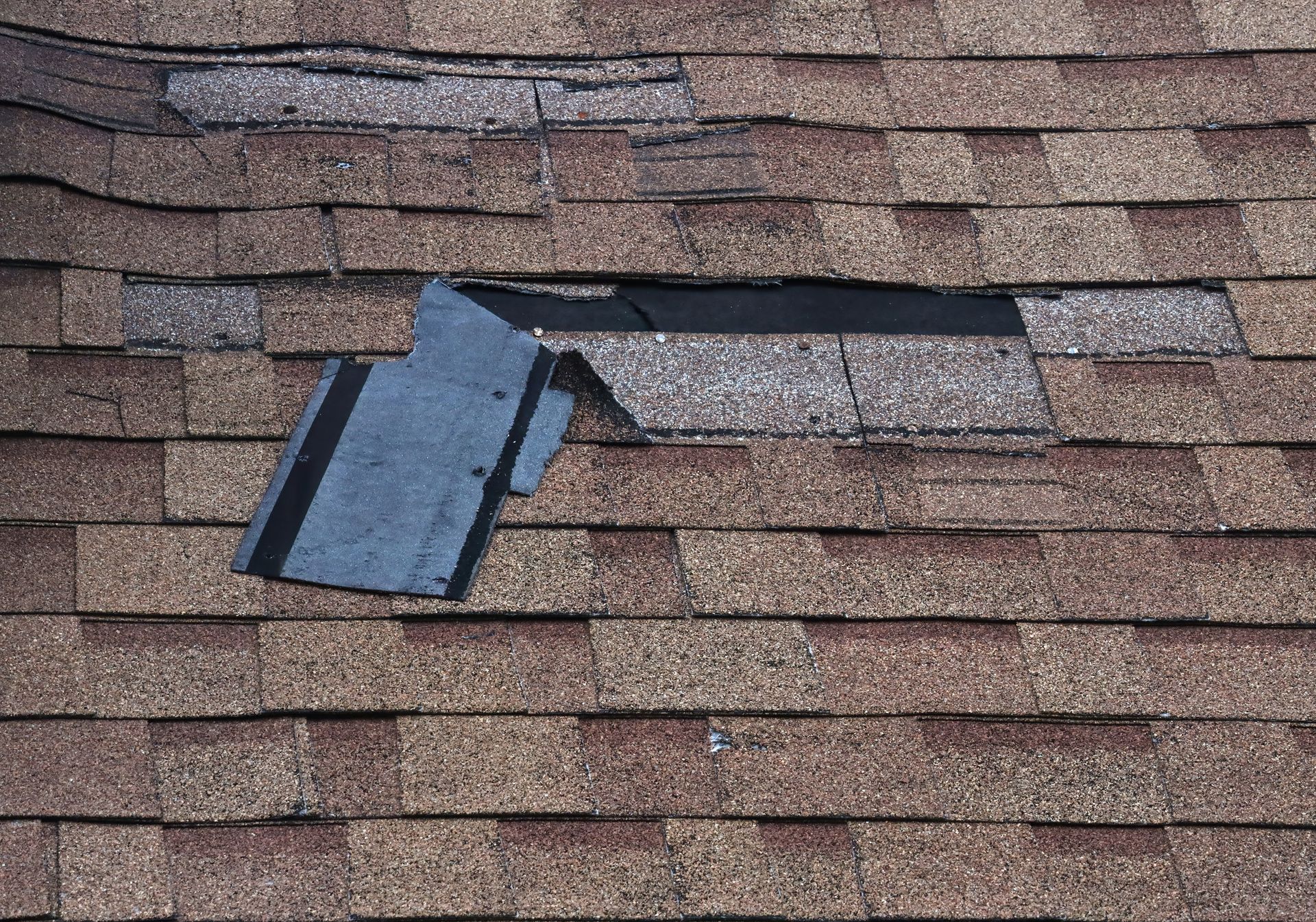 Damaged shingle roof with a loose black vent or flashing piece protruding from it