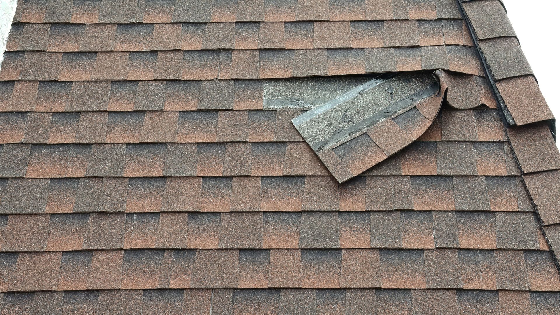 Damaged shingle roof with a loose, curled section near the top right