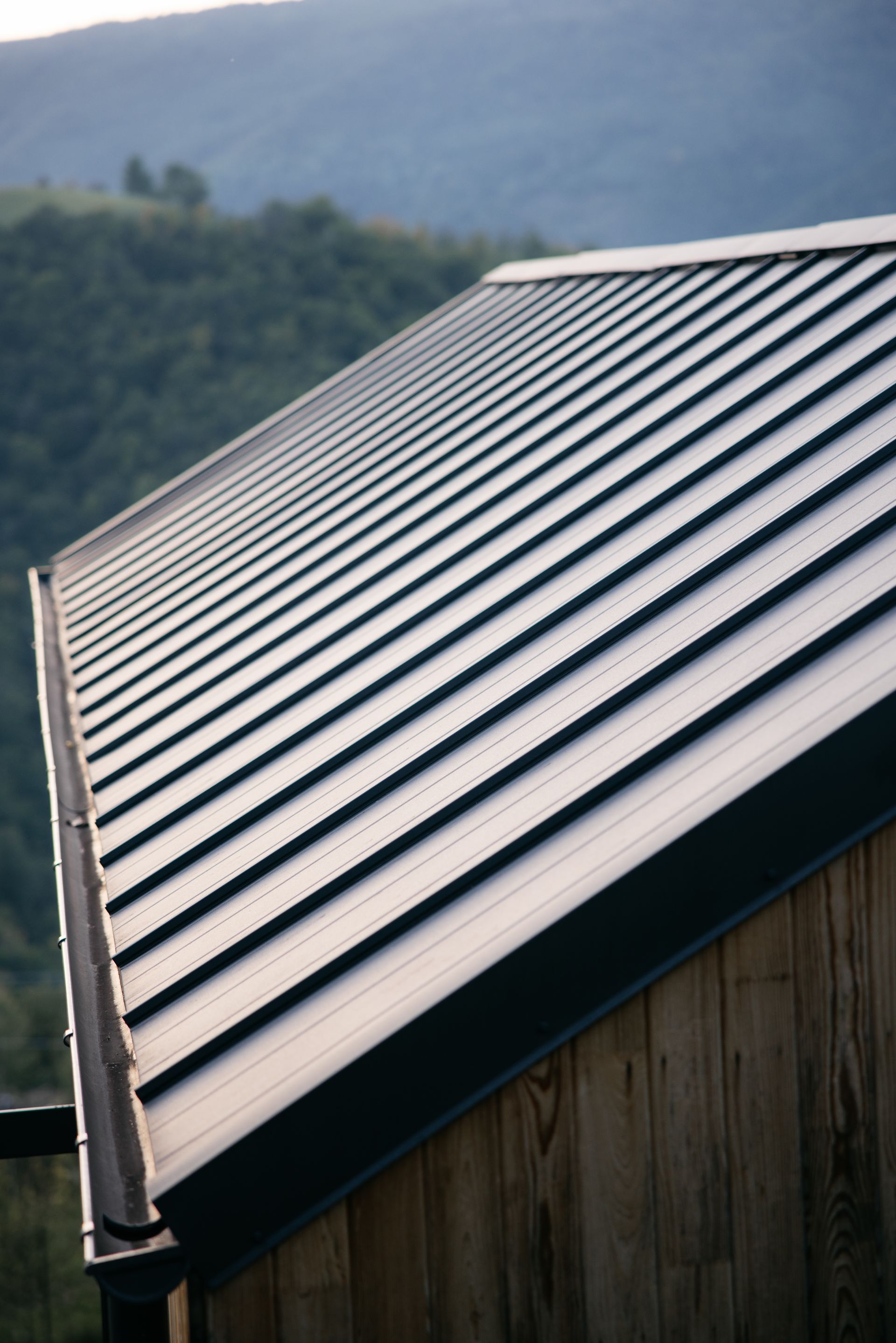 Metal roof on a wooden building with a forested mountain in the background